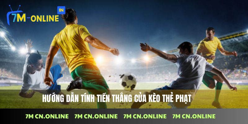 Kèo Thẻ Phạt Là Gì? Tổng Hợp Các Cửa Cược Cơ Bản Nhất 3 Hướng dẫn tính tiền thắng của kèo thẻ phạt