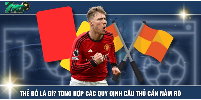 Thẻ Đỏ Là Gì? Tổng Hợp Các Quy Định Cầu Thủ Cần Nắm Rõ 1 Thẻ Đỏ Là Gì? Tổng Hợp Các Quy Định Cầu Thủ Cần Nắm Rõ